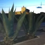 Casa Libertini *