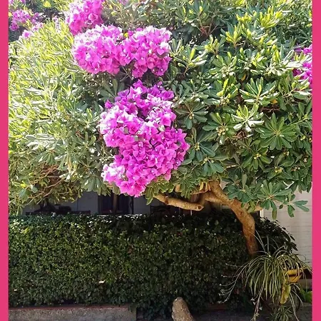 Casa Libertini * Grammichele